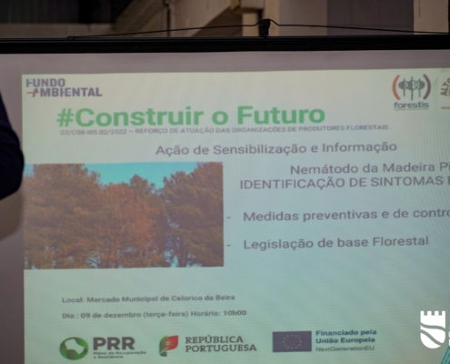 Nemátodo Da Madeira (2)