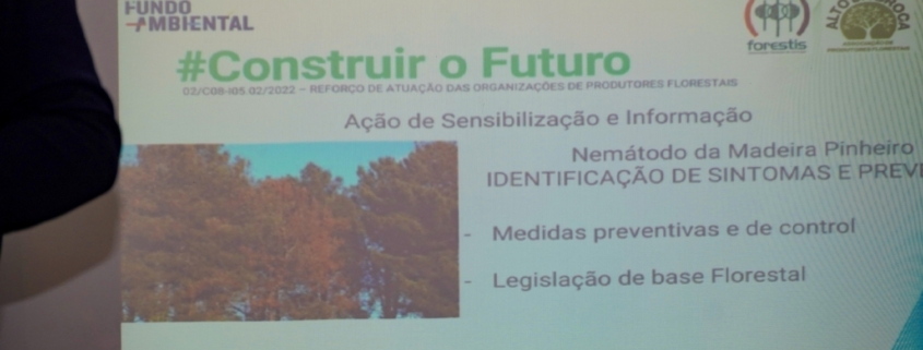 Nemátodo Da Madeira (2)