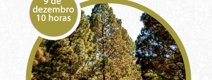 Nematodo Do Pinheiro