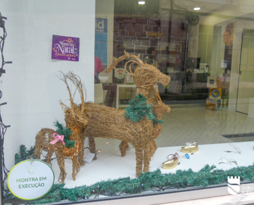 Optica Lince Celorico Da Beira