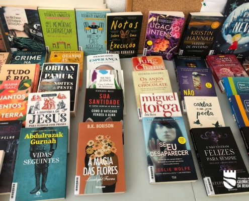 Biblioteca Fabrica (3)