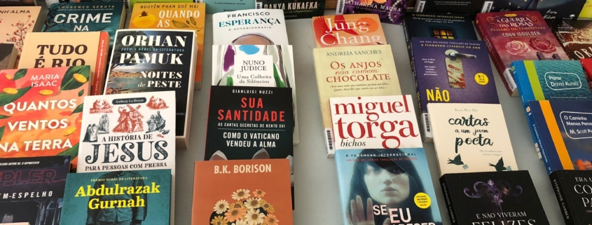 Biblioteca Fabrica (3)