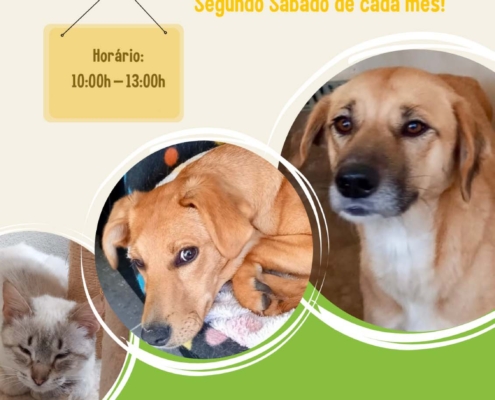 Dia Aberto 01 01 2026