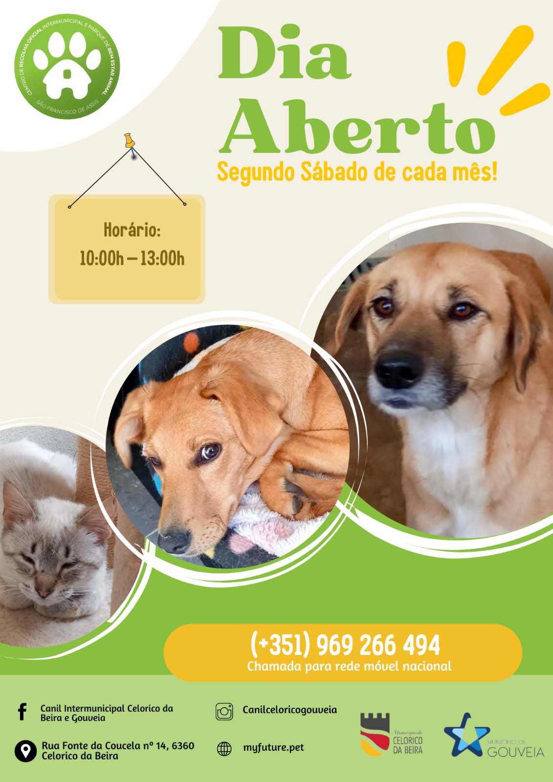 Dia Aberto 01 01 2026