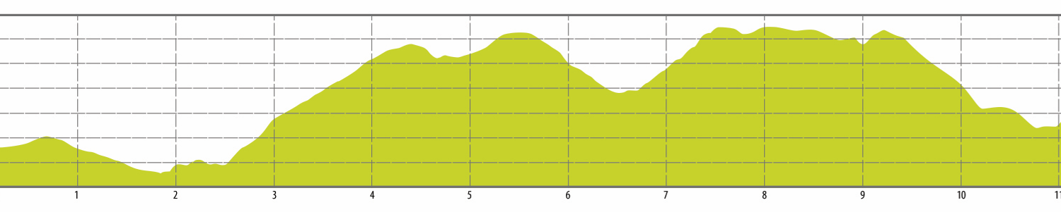 Perfil Altimétrico Perfil Altimétrico