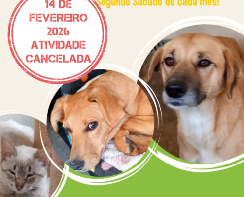 Dia Aberto Cancelado