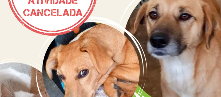 Dia Aberto Cancelado