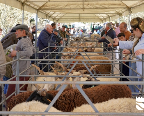 Feira Queijo 2026 (28)