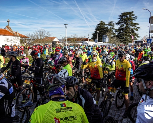 Feira Queijo 2026 (33)