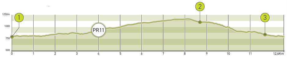 Pr11 Perfil AltimÉtrico