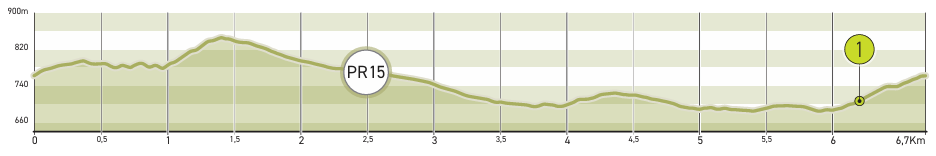 Pr15 Perfil AltimÉtrico