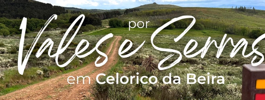 Banner Vales E Serras
