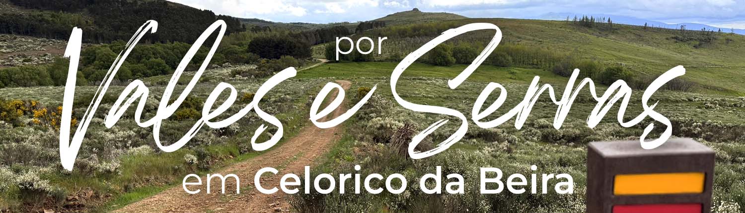 Banner Vales E Serras