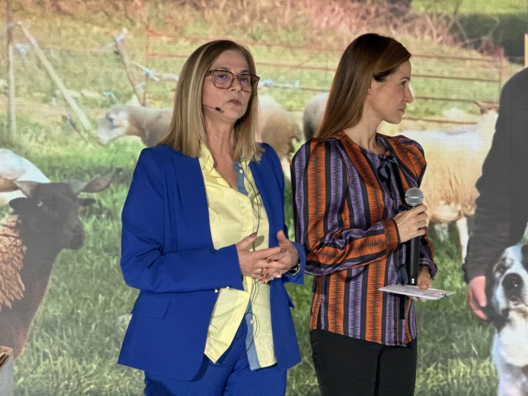 642809891 1349696533858153 6265510754571207112 N