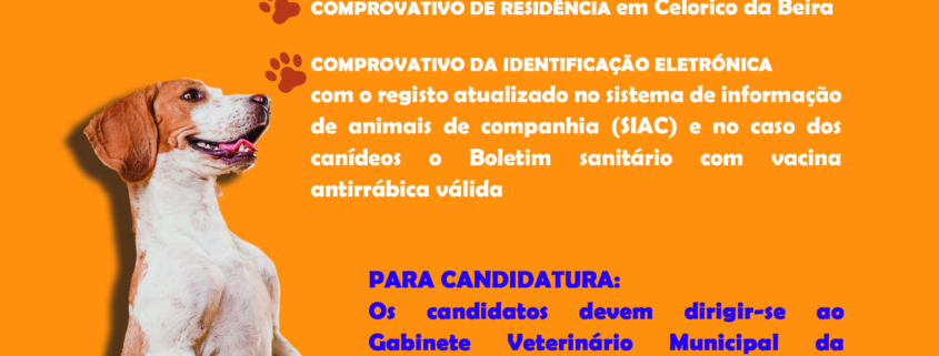 Cartaz Esterilização 2026