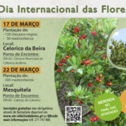 Dia Internacional Da Floresta 2026