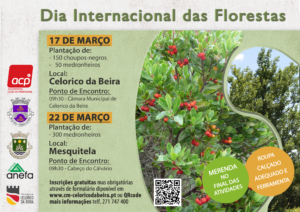 Dia Internacional Da Floresta 2026