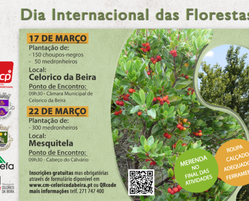 Dia Internacional Da Floresta 2026