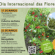 Dia Internacional Da Floresta 2026