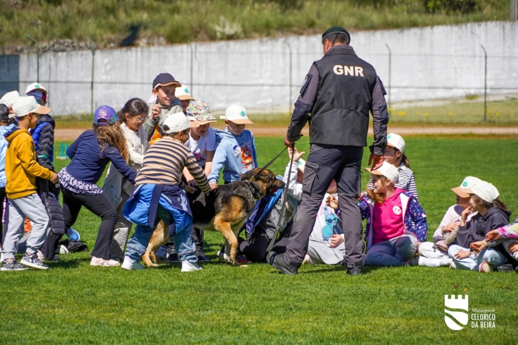 Dia Mundial Da Árvore E Da Água (1)