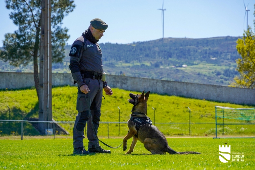 Dia Mundial Da Árvore E Da Água (30)