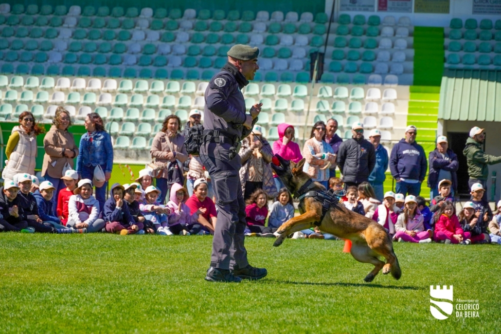 Dia Mundial Da Árvore E Da Água (32)