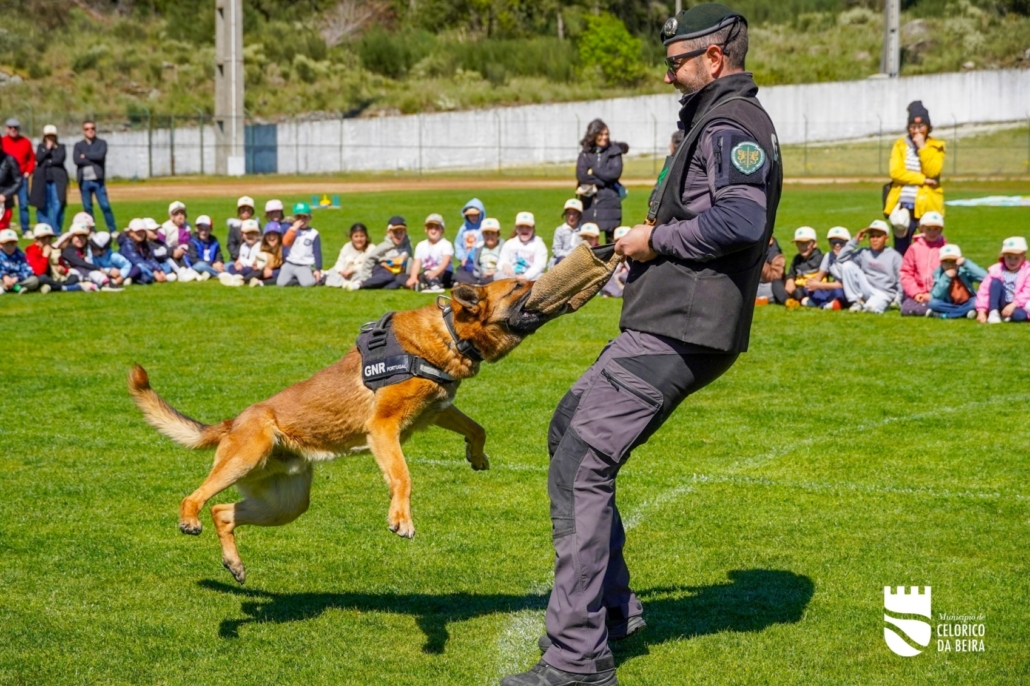 Dia Mundial Da Árvore E Da Água (37)