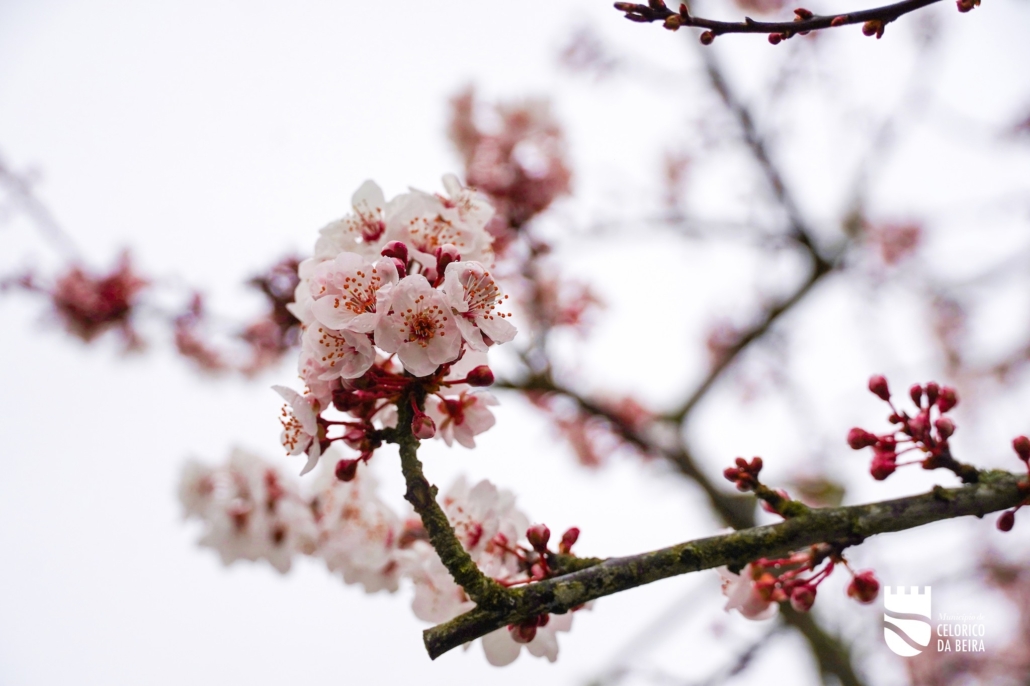 Dia Mundial Da Obesidade (23)