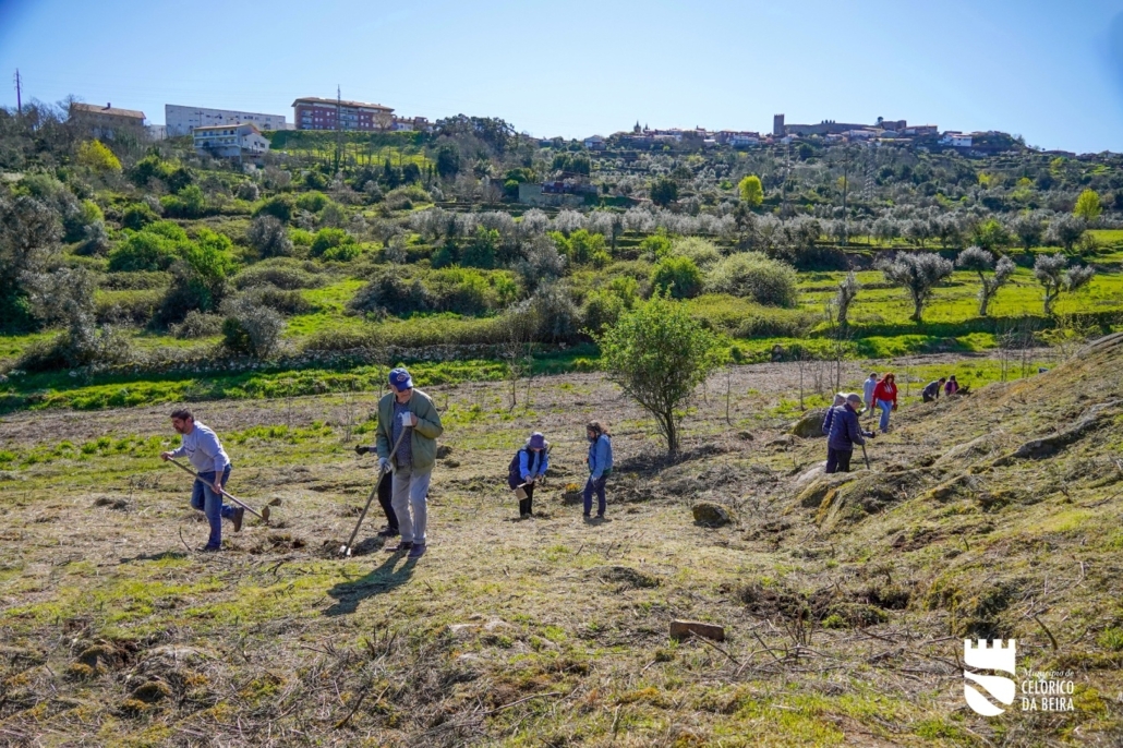 Dia Da Floresta E Da Árvore (25)