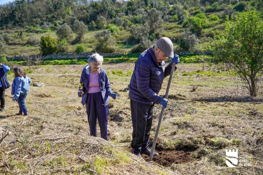 Dia Da Floresta E Da Árvore (27)