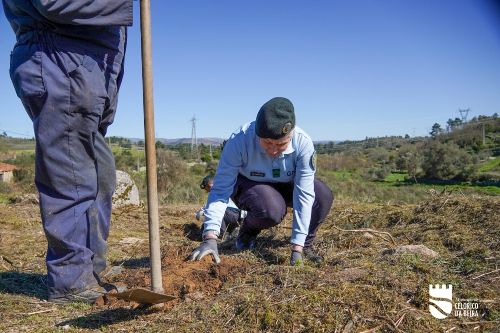 Dia Da Floresta E Da Árvore (28)