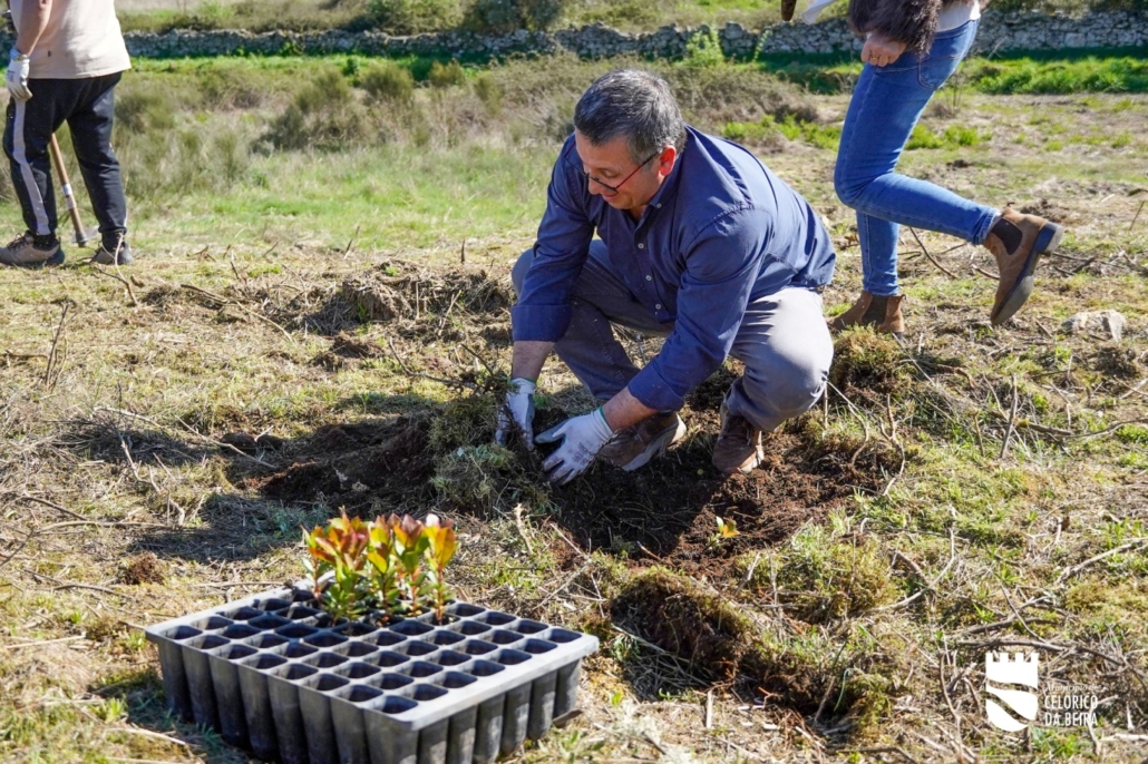 Dia Da Floresta E Da Árvore (30)