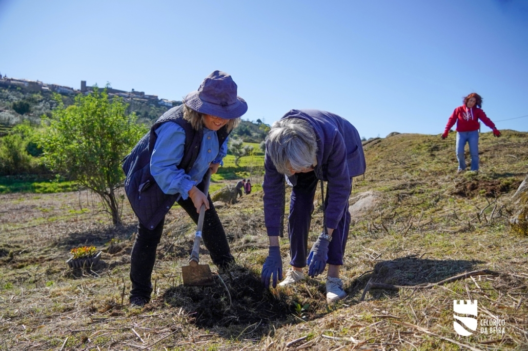 Dia Da Floresta E Da Árvore (32)
