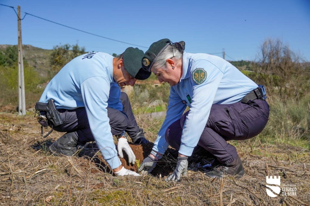 Dia Da Floresta E Da Árvore (33)