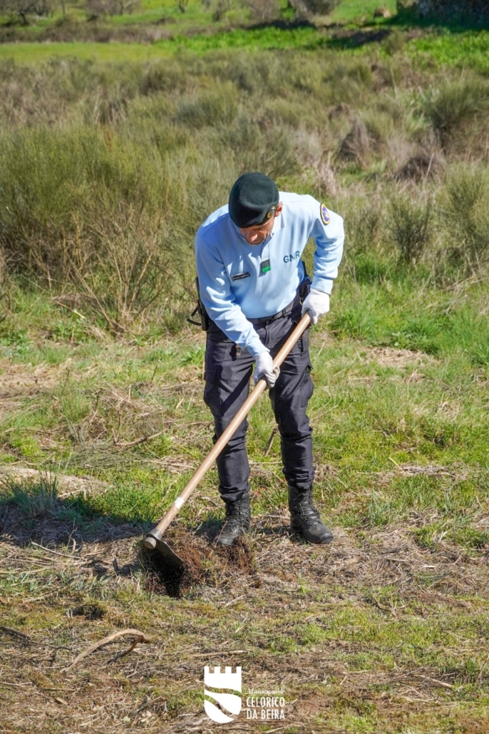 Dia Da Floresta E Da Árvore (35)