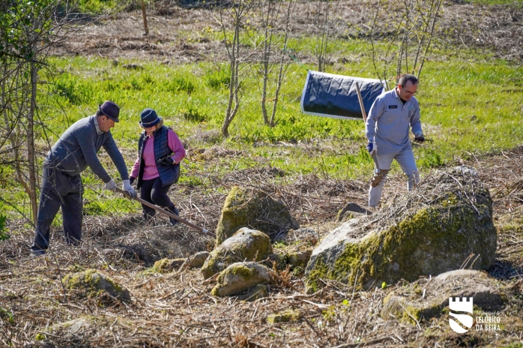 Dia Da Floresta E Da Árvore (36)