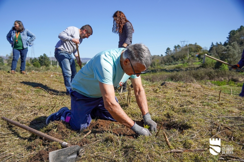 Dia Da Floresta E Da Árvore (37)