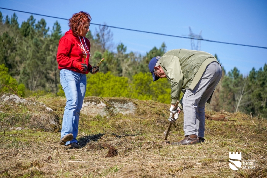 Dia Da Floresta E Da Árvore (38)