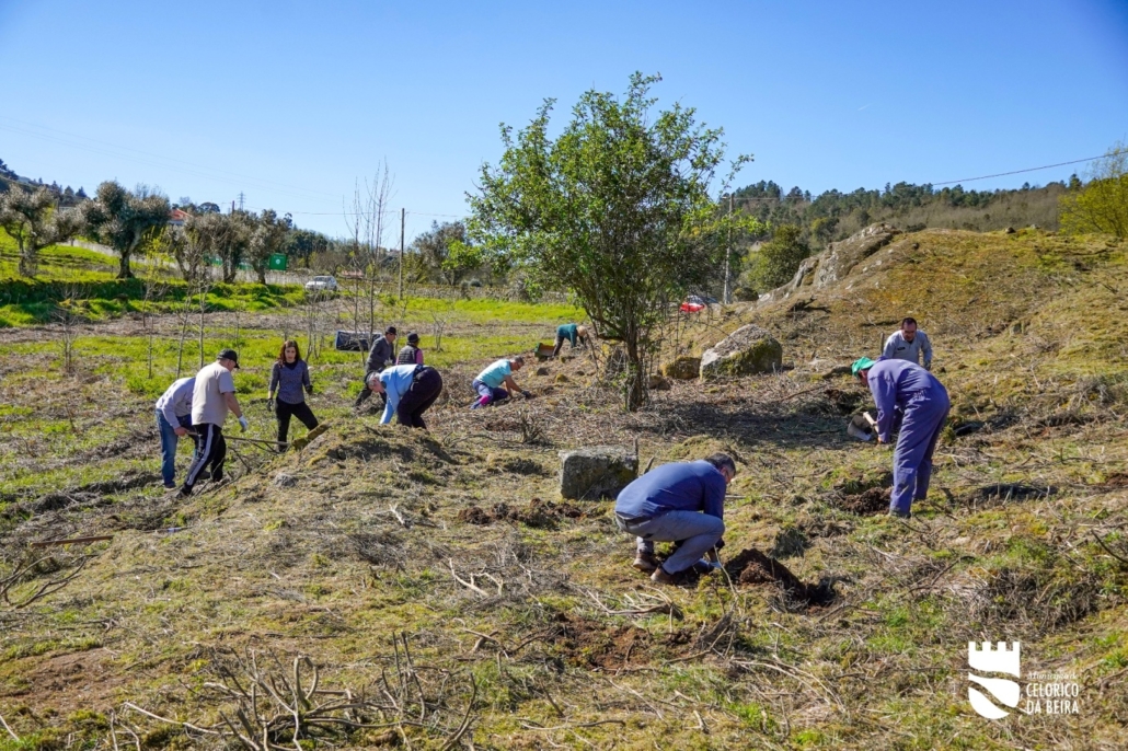 Dia Da Floresta E Da Árvore (41)