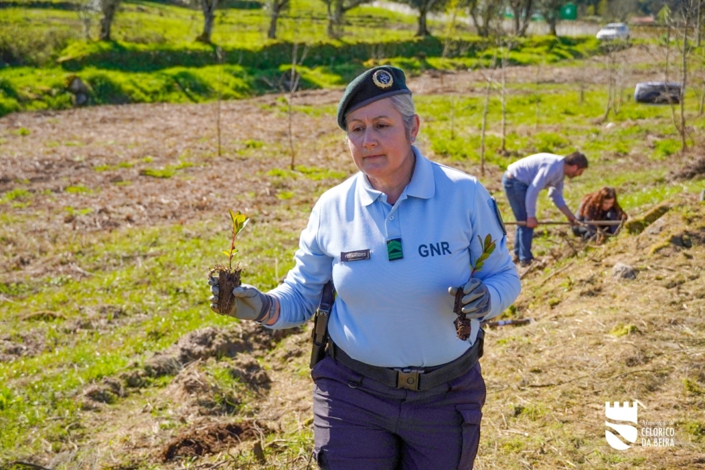 Dia Da Floresta E Da Árvore (42)
