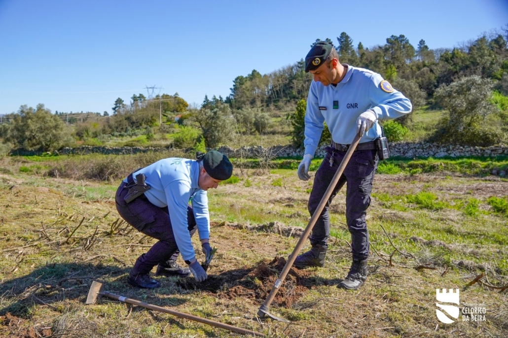 Dia Da Floresta E Da Árvore (43)