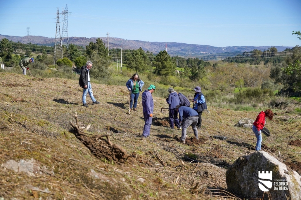 Dia Da Floresta E Da Árvore (44)