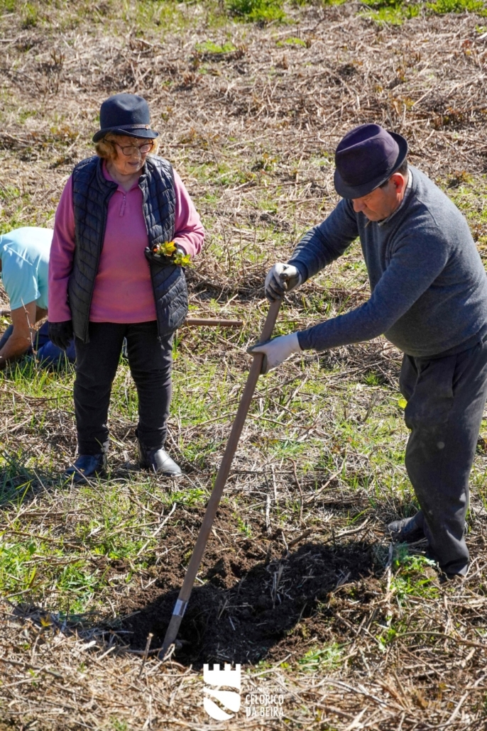 Dia Da Floresta E Da Árvore (45)