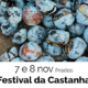 Festival Da Castanha