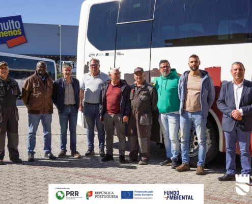 Mobilidade Eletrica (4)