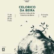 Centro Cultural De Celorico Da Beira Cine Eco