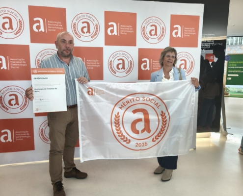 Bandeira de Mérito Social