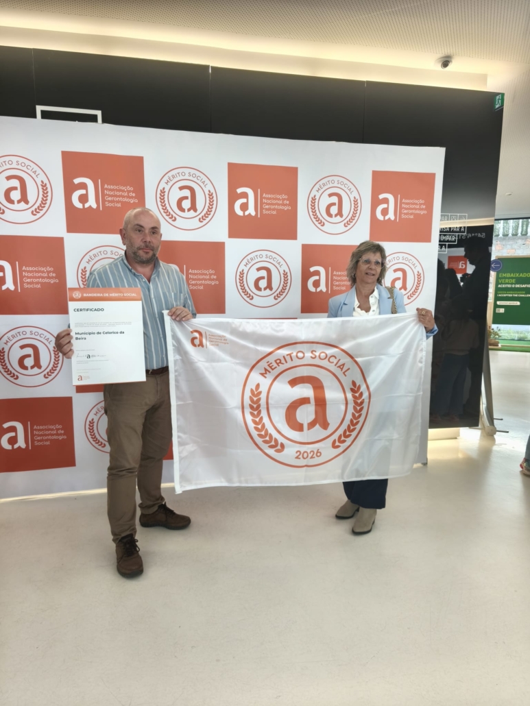 Bandeira de Mérito Social