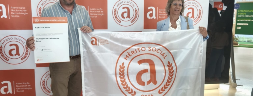 Bandeira de Mérito Social