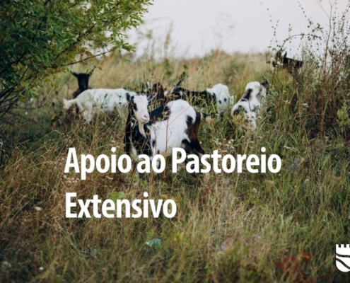 Pastoreio (2)
